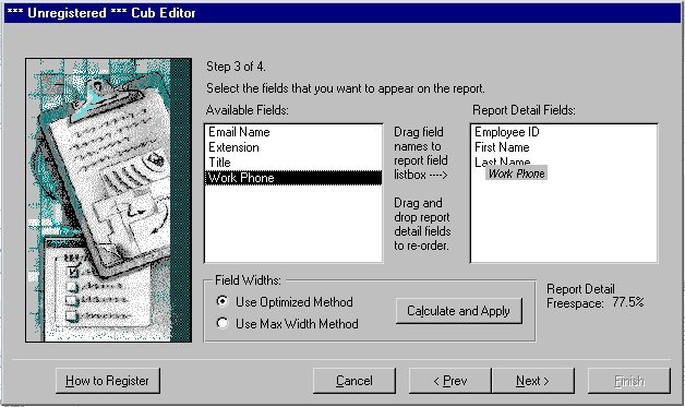 Cub Editor for MS Access 97 Screenshot